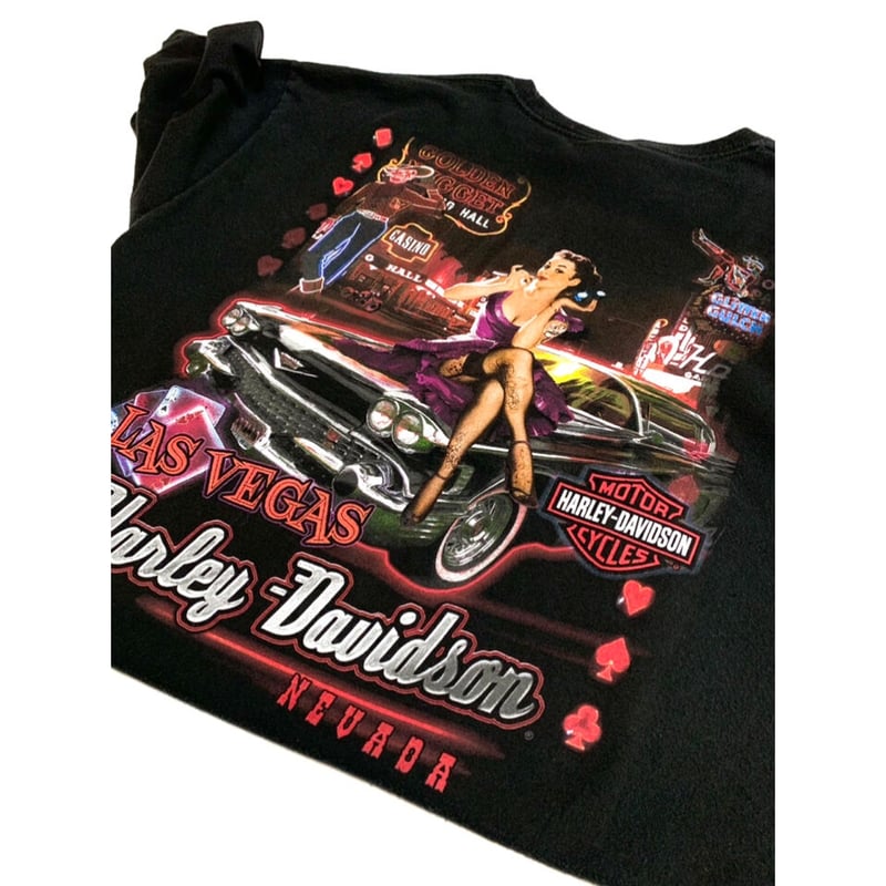 2010 Harley-Davidson 