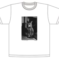広瀬 勉　立派な猫 Tシャツ　限定50枚　浜風文庫オリジナル
