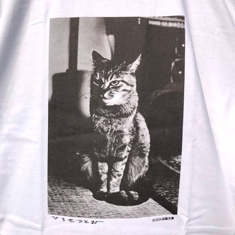 広瀬 勉　立派な猫 Tシャツ　限定50枚　浜風文庫オリジナル