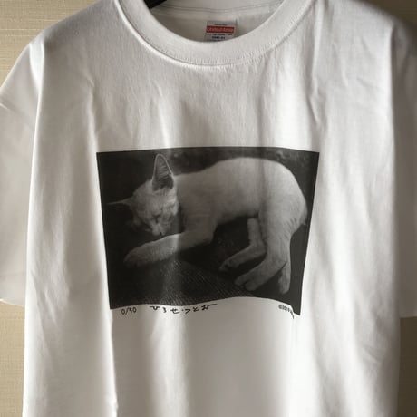 広瀬 勉　猫Tシャツ　限定50枚　浜風文庫オリジナル　エディションナンバー入り