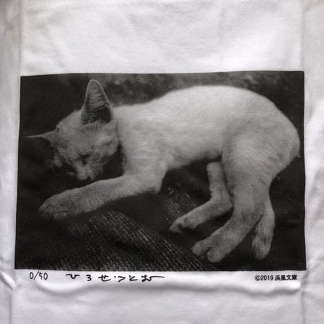 広瀬 勉　猫Tシャツ　限定50枚　浜風文庫オリジナル　エディションナンバー入り