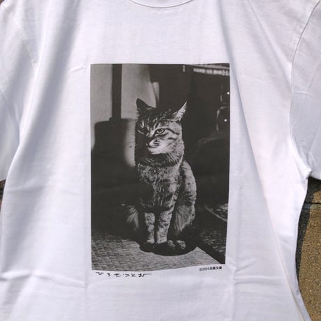 広瀬 勉　立派な猫 Tシャツ　限定50枚　浜風文庫オリジナル