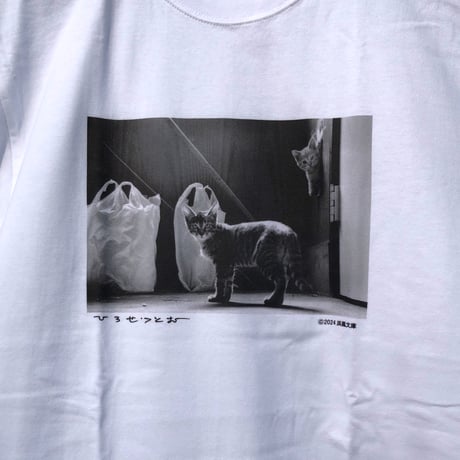 広瀬 勉　仔猫たち Tシャツ　限定50枚　浜風文庫オリジナル