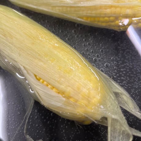 🌽【夏季限定❗️】とうもろこしと四万十ポークの餃子(10個入)