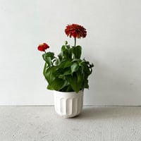 植木鉢　ホワイト