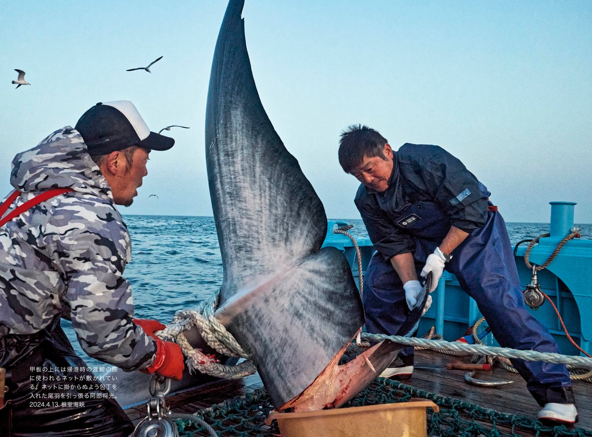 DVD付き写真集『鯨と生きる 北海道編』西野嘉憲・著（立夏書房