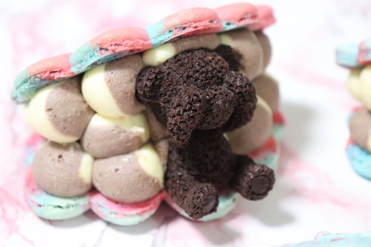 くまさんシェルマカロン(期間限定) | Stunning Leo