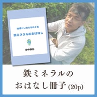 【冊子のみ】鉄ミネラル生活を始める！（先生のお話が冊子になりました！）