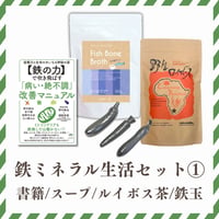 （8/18～価格改定）【鉄ミネラル生活セット①】鉄ミネラル生活を始める！（書籍・スープ・ルイボス茶・鉄玉）