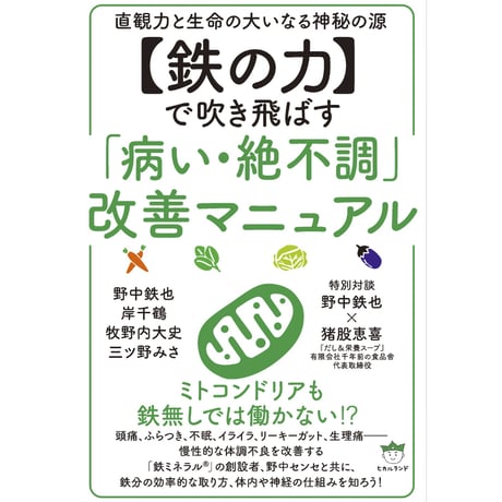 【鉄ミネラル生活セット②】鉄ミネラル生活を始める！（書籍・スープ・ルイボス茶・鉄玉）