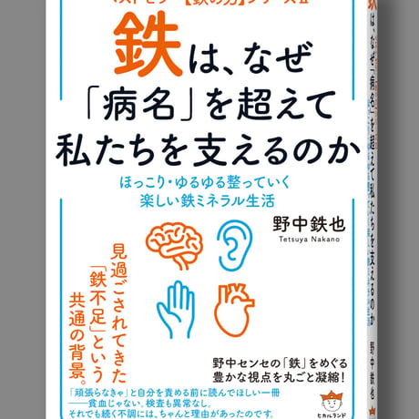 （8/18～価格改定）【鉄ミネラル生活セット①】鉄ミネラル生活を始める！（書籍・スープ・ルイボス茶・鉄玉）