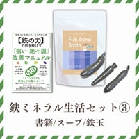 【鉄ミネラル生活セット③】鉄ミネラル生活を始める！（書籍・スープ・鉄玉）