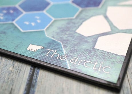 The Arctic