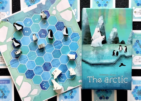 The Arctic