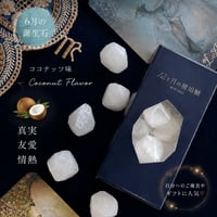 【6月限定】12ヶ月の琥珀糖　パールココ《ALC》