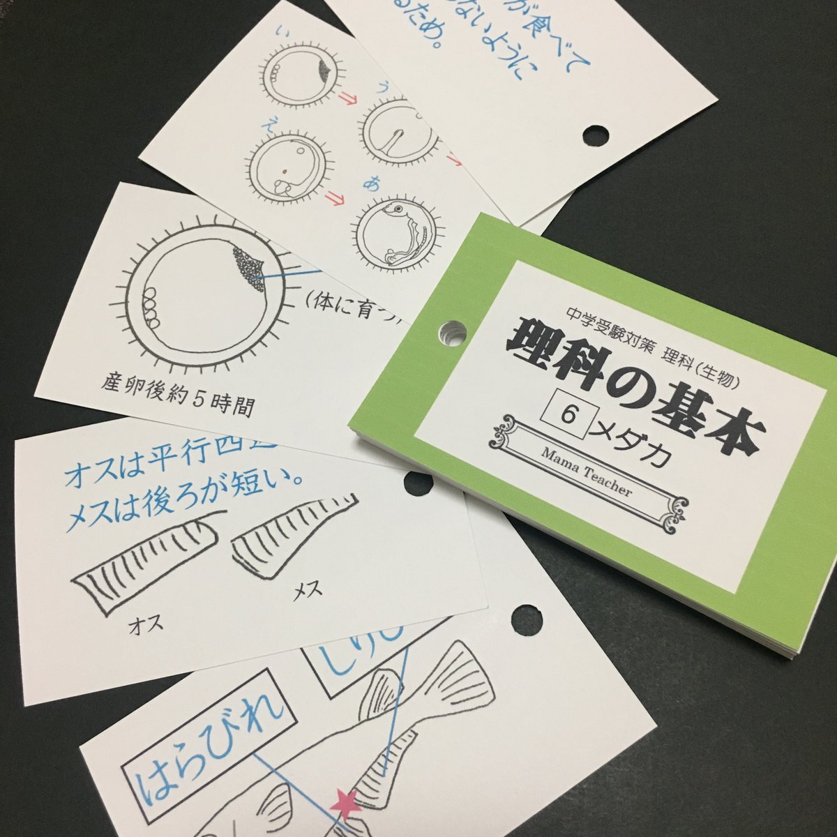 【新作入荷!!】 理科】生物の基本①〜⑨ 9冊セット(2025) Store MamaTeacher's | 語学・辞書・学習参考書