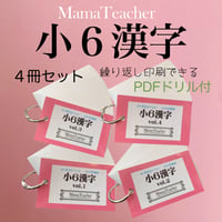 【小6漢字4冊セット】中学受験・高校受験対策に 暗記カード 繰り返し印刷できるドリル付