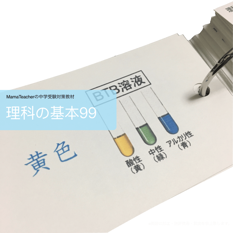 ⭐️【理科】理科の基本99 《生物編/物理・化学編》2点セット