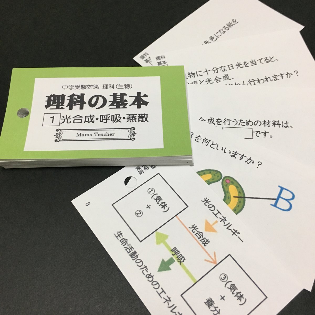 ママティーチャー 生物の基本 2024 ママティーチャー 生物の基本 2024 理科】生物の基本①〜⑨ 9冊