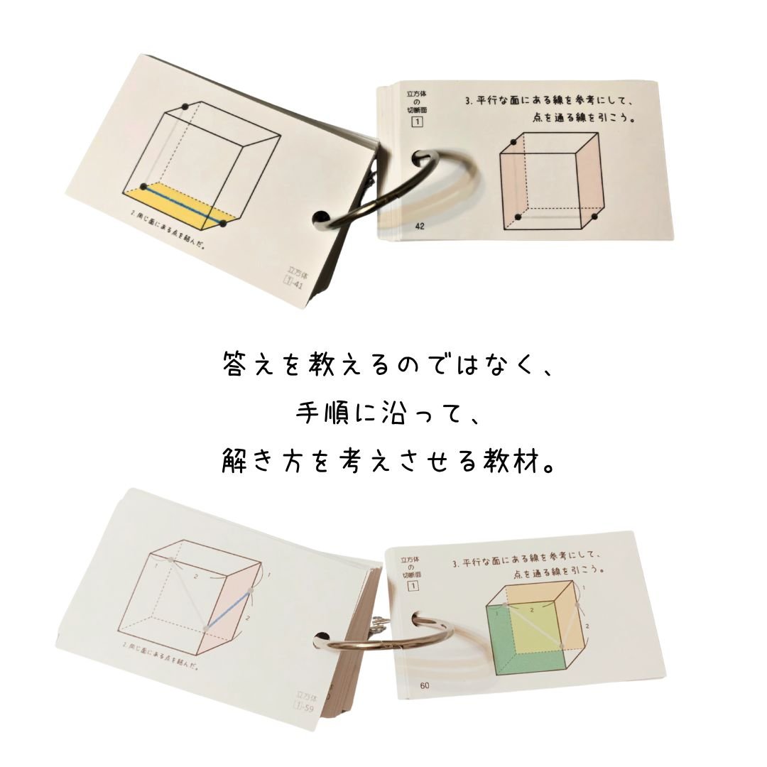 ハル　立体の切断模型 ①②③④⑤⑥⑦⑧⑨⑩セット ハル 立体の切断模型 ①②③④⑤⑥⑦⑧⑨⑩セット 立体の切断