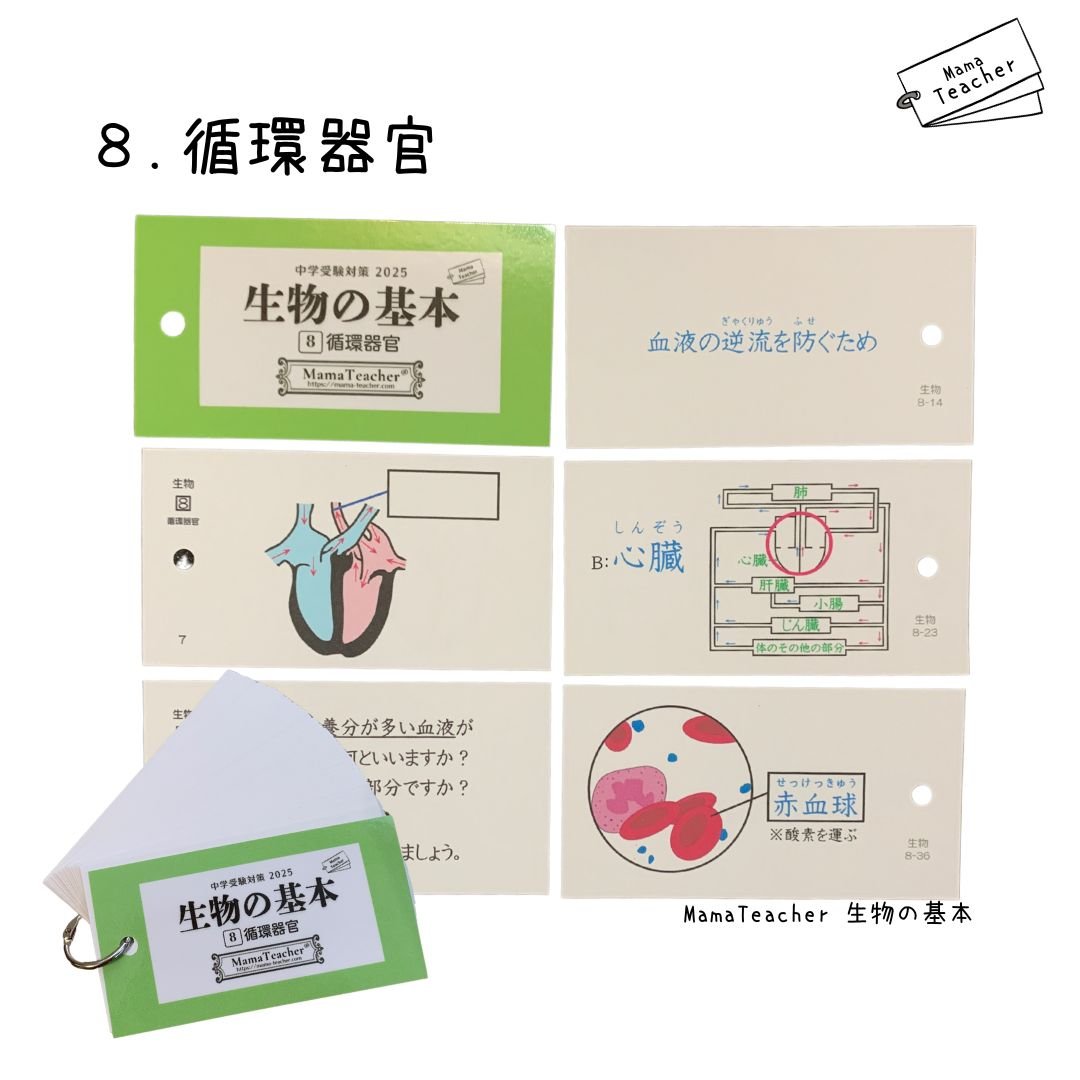 ⭐️【理科】生物の基本①〜⑨ 9冊セット(2025)リニューアル版