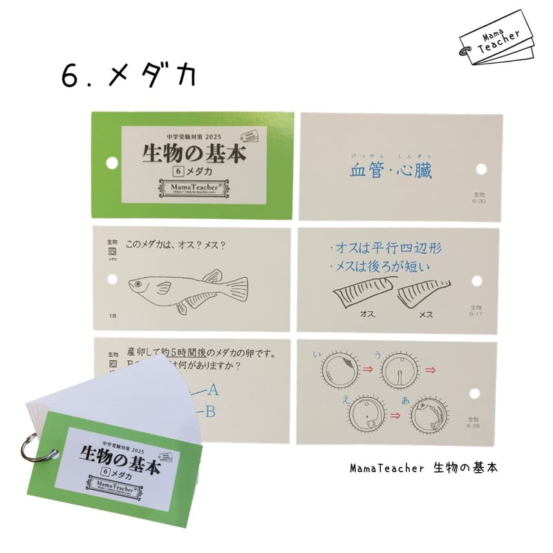 ⭐️【理科】生物の基本①〜⑨ 9冊セット(2025)リニューアル版