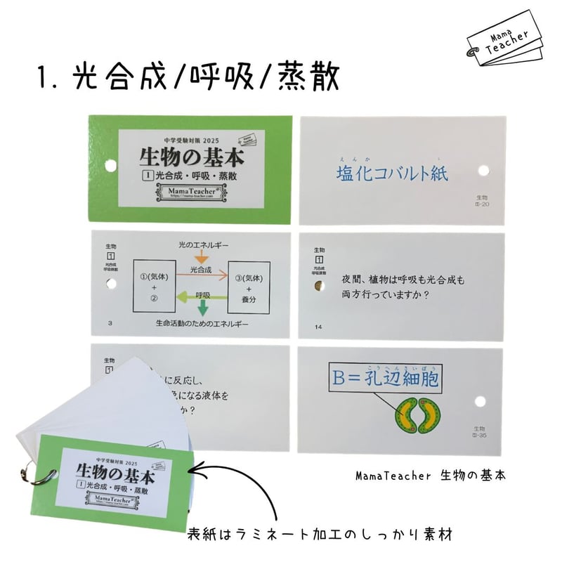 【理科の基本生物セット生物9点①〜⑨】暗記カード 中学受験対策 ⭐️【理科】生物の基本①〜⑨ 9冊セット(2025)リニューアル版