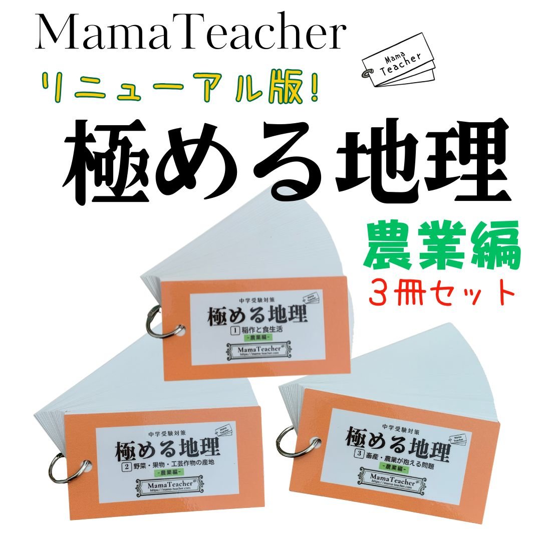 暗記カード 社会コンプリートセット（2026年版） | MamaTeacher's S