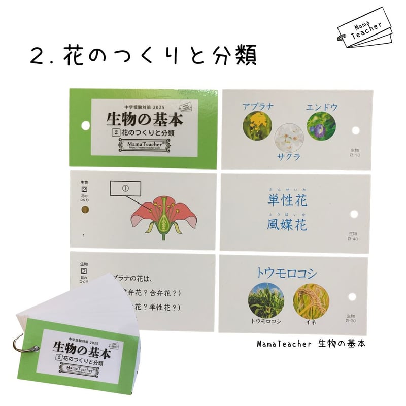 ⭐️【理科】生物の基本①〜⑨ 9冊セット(2025)リニューアル版