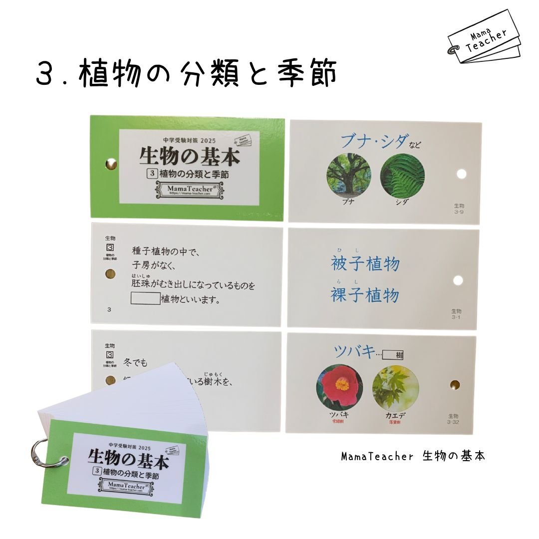ママティーチャー 生物の基本 2024 ママティーチャー 生物の基本