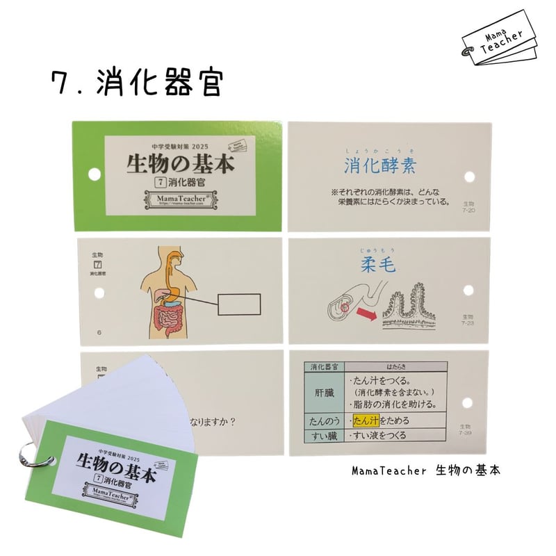 ⭐️【理科】生物の基本①〜⑨ 9冊セット(2025)リニューアル版