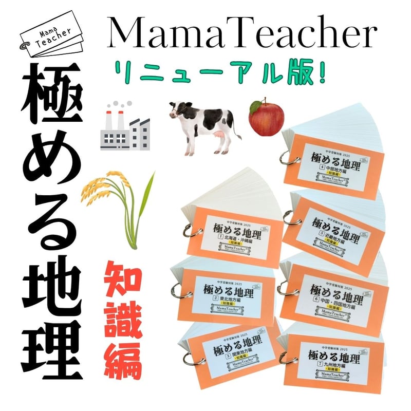 暗記カード 社会コンプリートセット（2025）リニューアル版