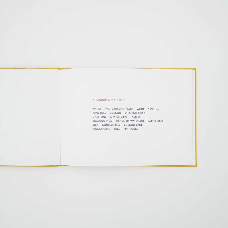 SIXTEEN WORKS _ Richard Long | editionnord.store
