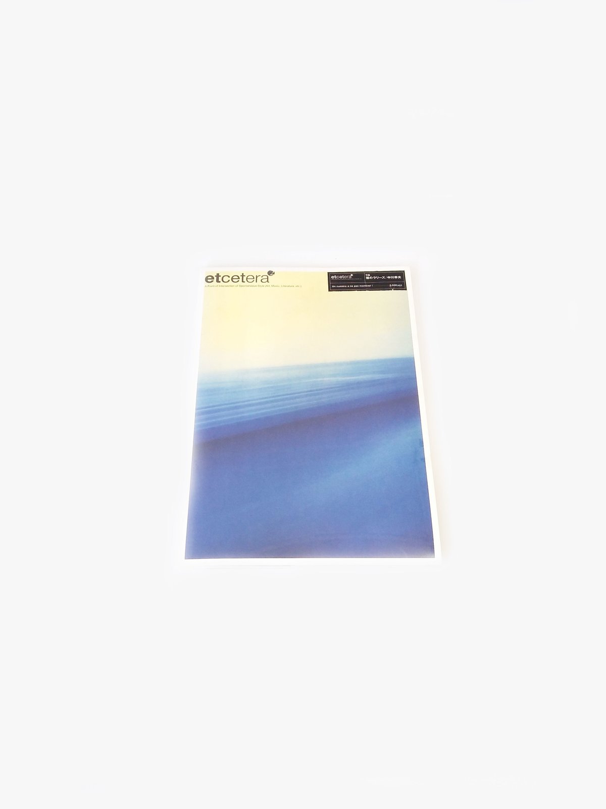 etcetra2／裸のラリーズ特集／EP付き／未開封 | editionnord.store