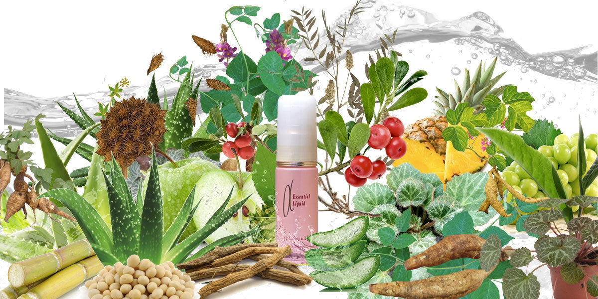 celless セレス エッセンシャルリキッド 30ml | 素肌計画 STORES店