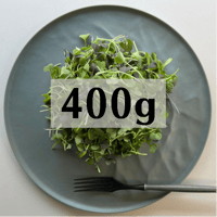 マイクロリーフ400g