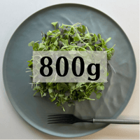 マイクロリーフ800g