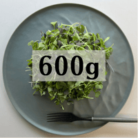 マイクロリーフ600g