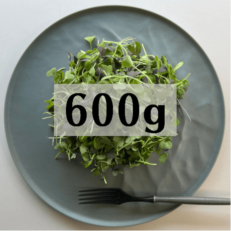 マイクロリーフ600g