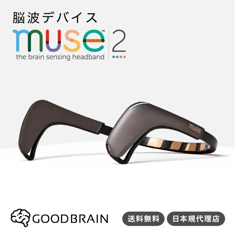 脳波デバイス Muse2 瞑想を可視化するアイテム【日本語マニュアル付き】