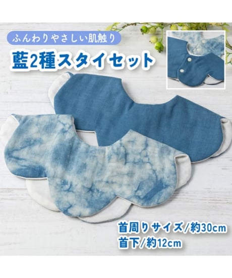 藍2種スタイセット
