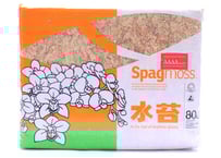 高級水苔4A級（1kg） | kazemidori