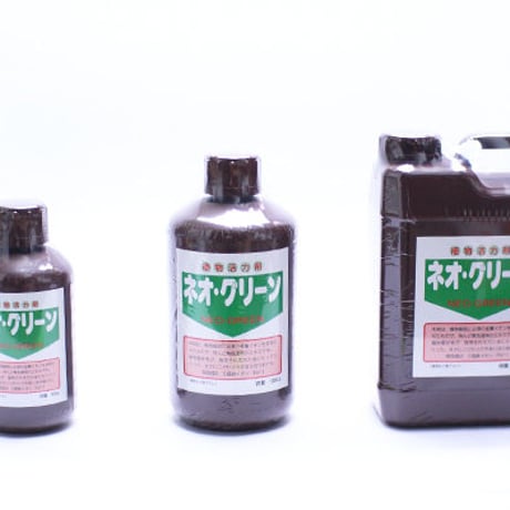 富貴蘭　円窓(2本子付き) 富貴蘭 | STORES