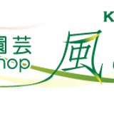 kazemidori