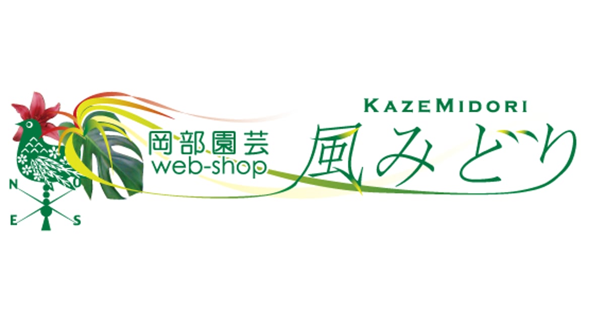 CATEGORY 富貴蘭 | kazemidori CATEGORY 富貴蘭 | kazemidori