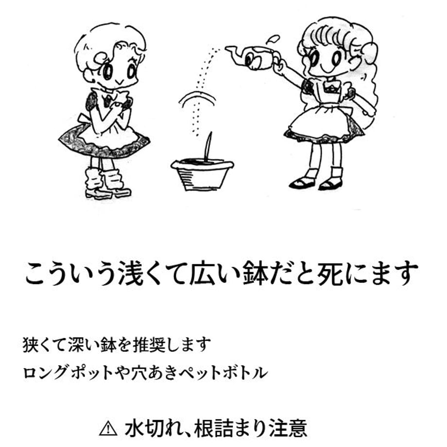 62e29c815ff423395725bf88