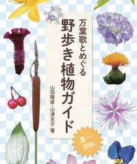 野歩き植物ガイド［夏～初秋］