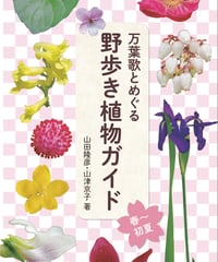 野歩き植物ガイド［春～初夏］