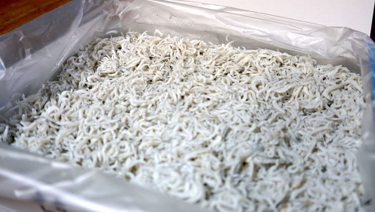 朝獲れ釜揚げしらす』 3kg | りなまるのわだじまん