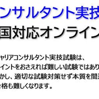 （決済用）キャリコン実技試験対策、オンラインor対面練習２時間